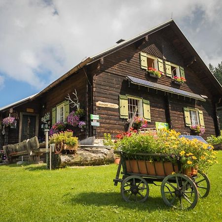 Ferienhof Schelchen Hollenstein an der Ybbs Ngoại thất bức ảnh