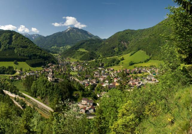 Ferienhof Schelchen Hollenstein an der Ybbs Ngoại thất bức ảnh